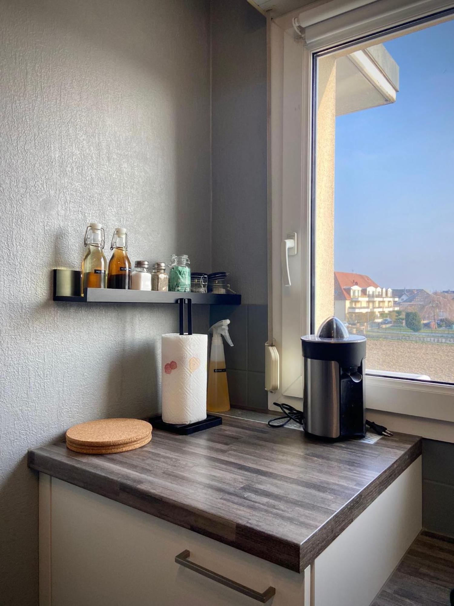 Apartamento L'Escale, Proche Suisse, Parking Hesingue Exterior foto